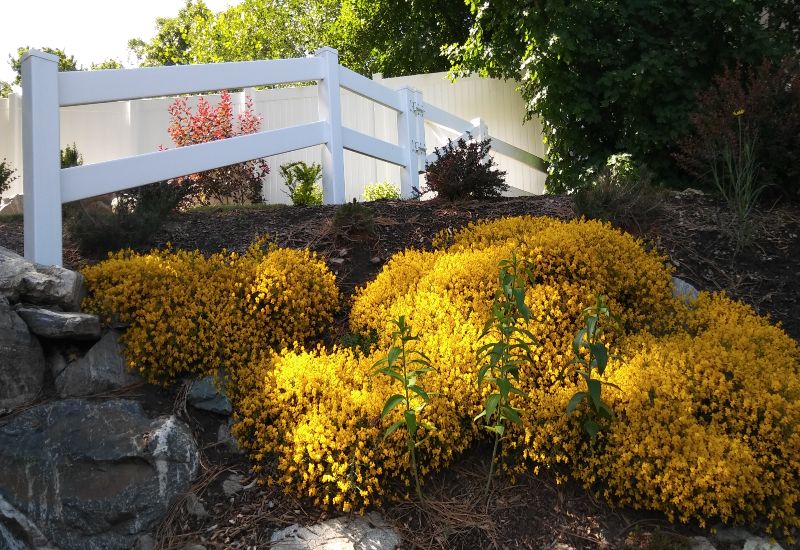 Fencing Installations in Salt Lake City & West Valley City, UT