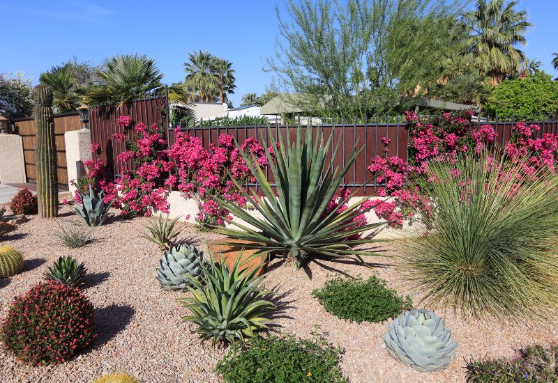 Xeriscaping in Salt Lake City & West Valley City, UT